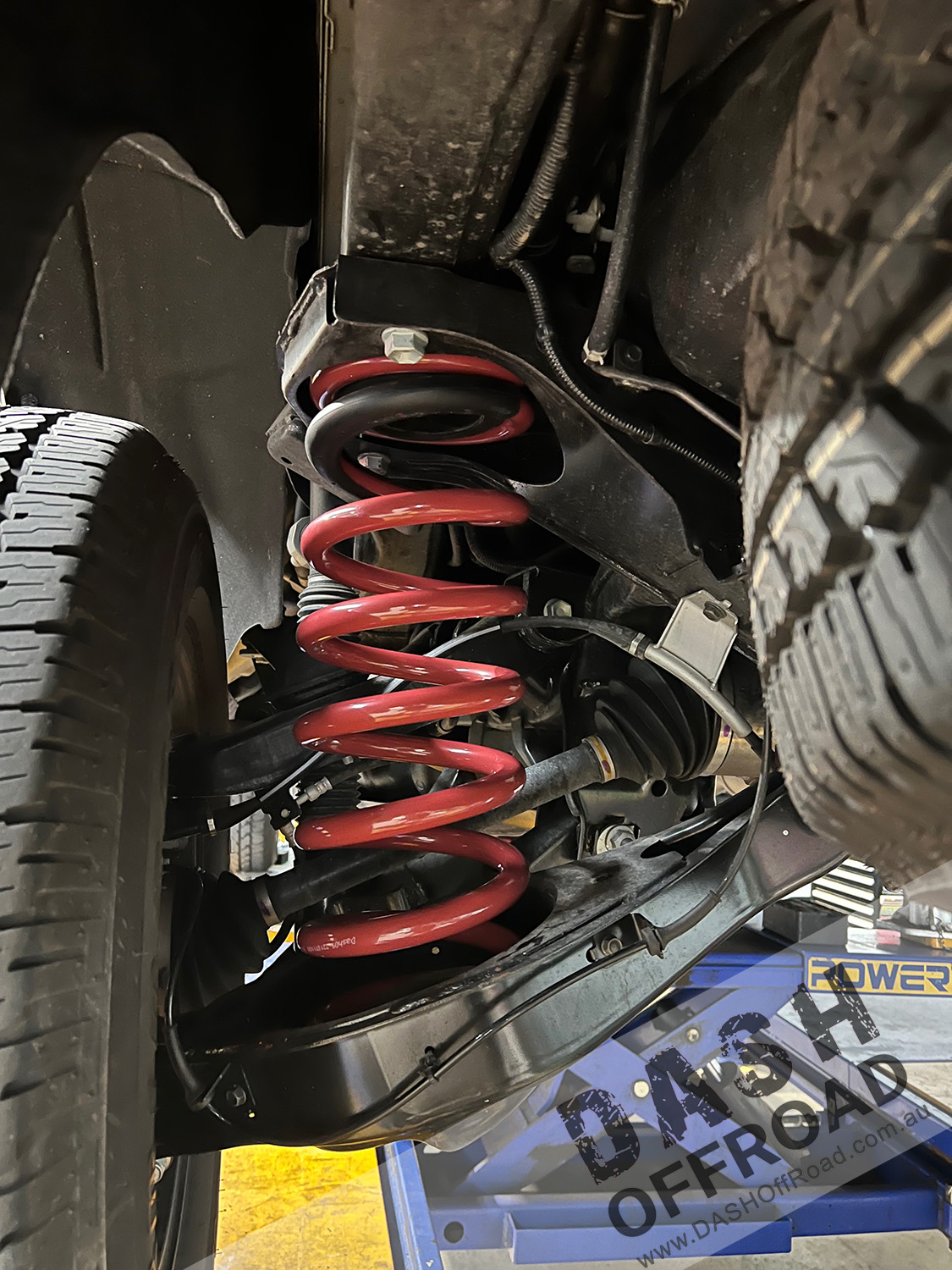 Y62 Patrol STANDARD Height Rear Tow Coils