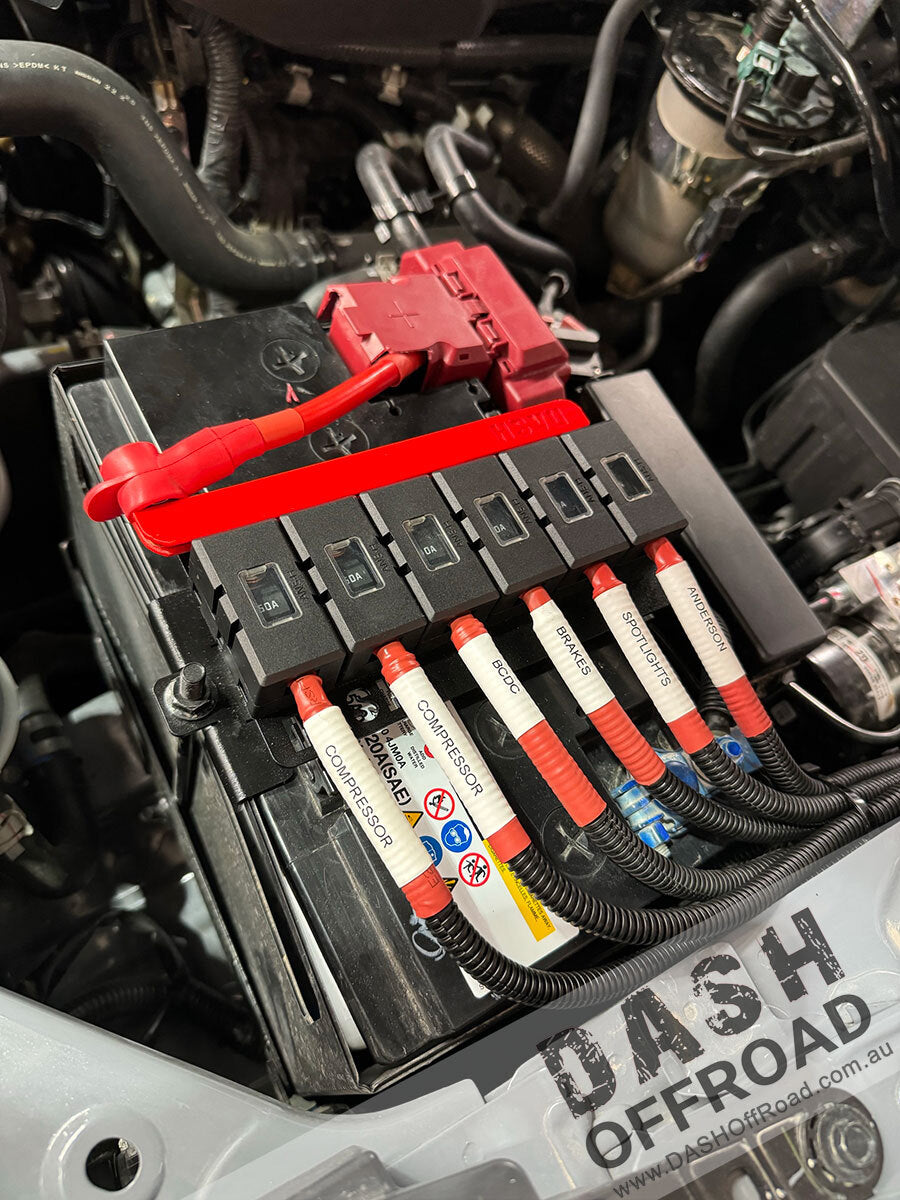 DASH NP300 & Tank300 Battery Strap + Holder Plate