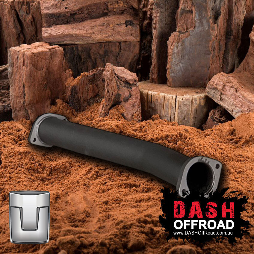 DASH Tank 300 Exhaust Cat Delete