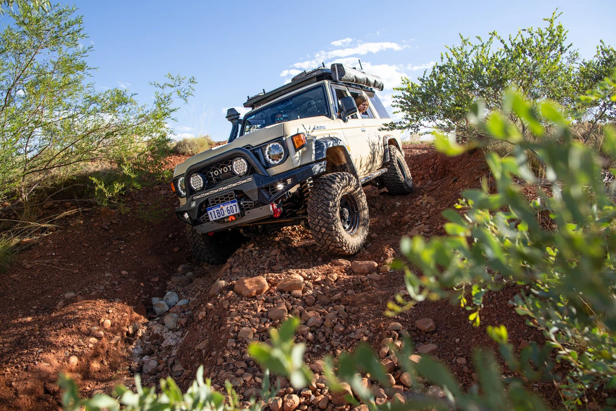 Predator Bull bar, Suitable for Toyota Land Cruiser (facelift) 76, 78, 79 Dual Cab, 2024 on