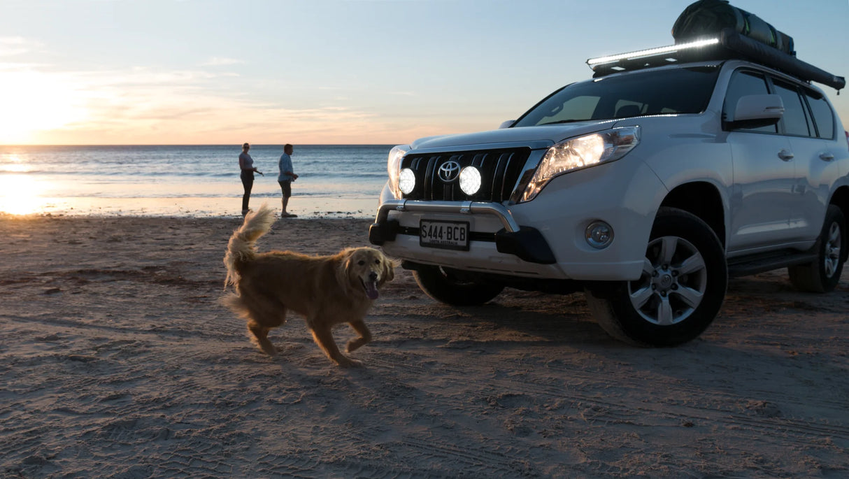 Venom Professional Edition LED Driving Light