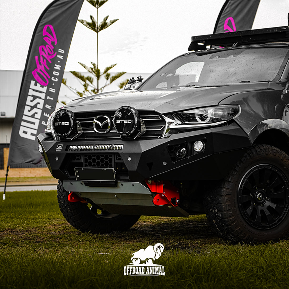 Predator Bull bar, Mazda BT-50 2021