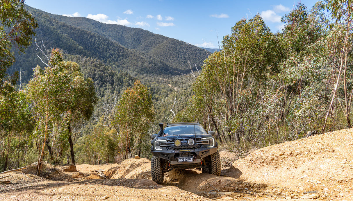 Predator Bull bar, Ford Everest, Next Gen; 2022 ON